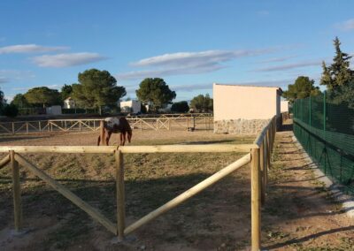 TORREVIEJA – MONTAJE DE VALLA TEJANA