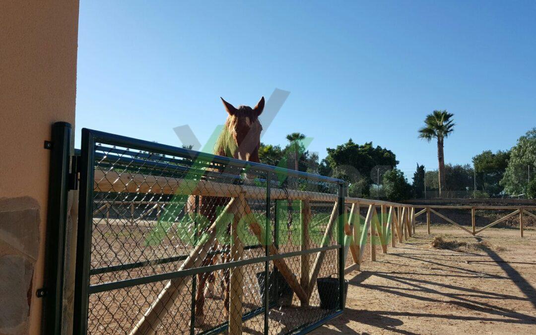 TORREVIEJA – VALLA TEJANA ASSEMBLY