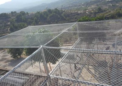 CAGE FOR PARROTS AND OTHER BIRDS – BENISSA